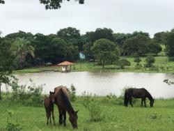 Fazenda para Venda em Goiânia - 4