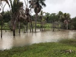 Fazenda para Venda em Goiânia - 5