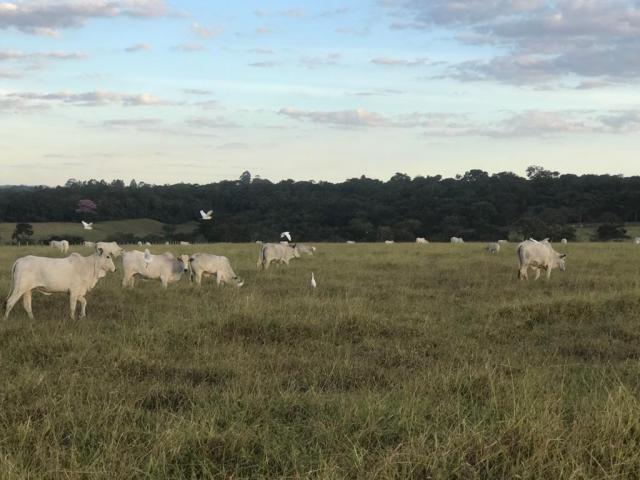 Fazenda para Venda em Jussara - 2