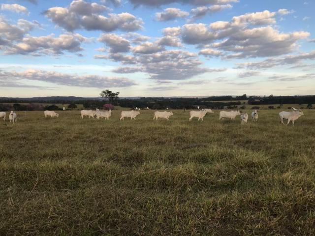 Fazenda para Venda em Jussara - 1