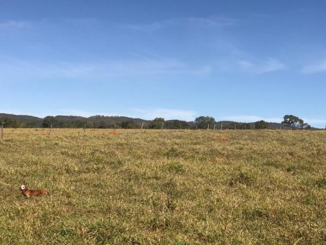 Fazenda para Venda em Jussara - 4