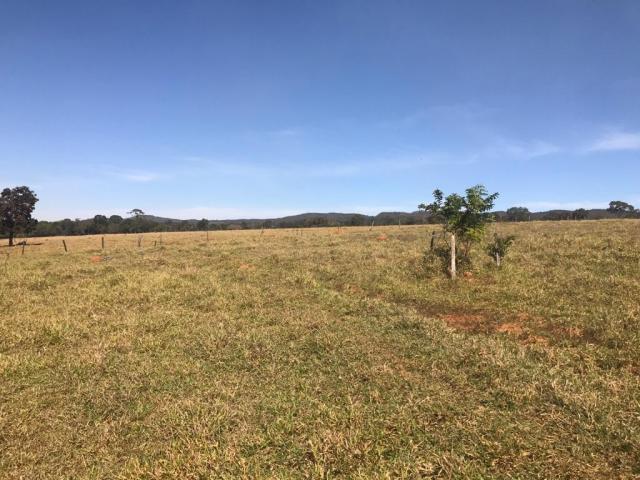 #718 - Fazenda para Venda em Jussara - GO - 3