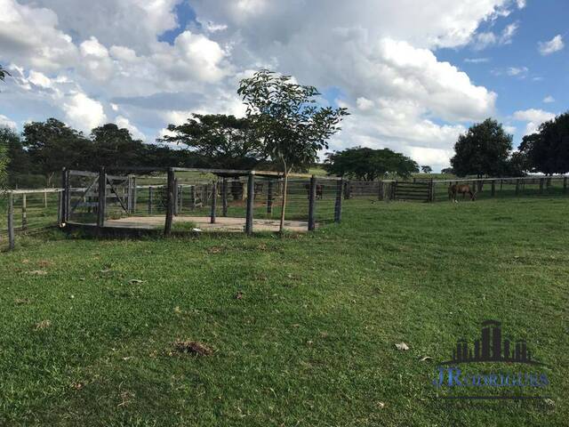 Fazenda para Venda em Hidrolândia - 3