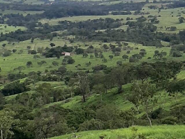 Fazenda para Venda em Itapuranga - 5