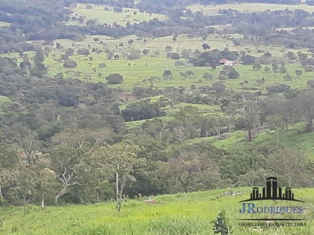 Fazenda para Venda em Itapuranga - 1