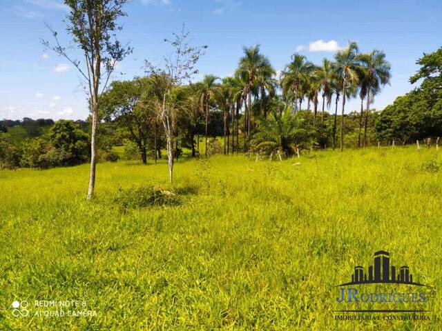 Chácara para Venda em Bela Vista de Goiás - 5