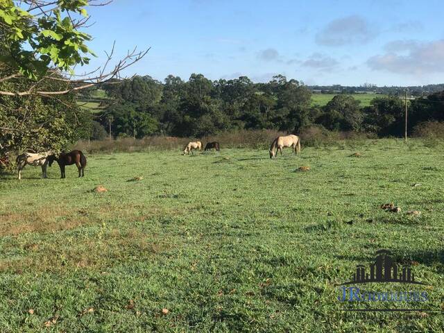 #819 - Fazenda para Venda em Goiânia - GO - 3