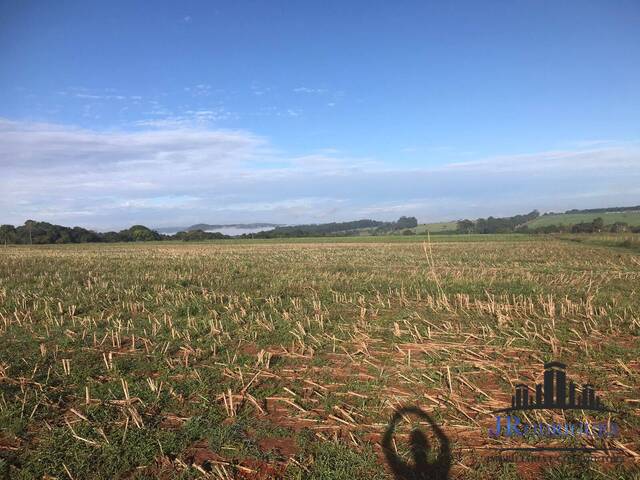 Fazenda para Venda em Goiânia - 4