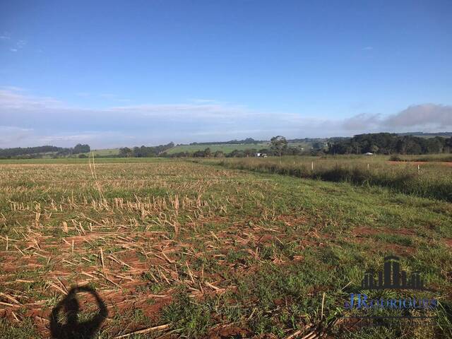 #819 - Fazenda para Venda em Goiânia - GO - 2