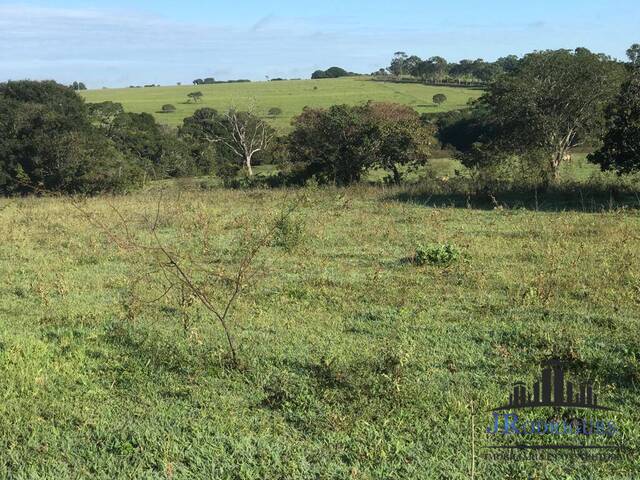 #819 - Fazenda para Venda em Goiânia - GO - 1