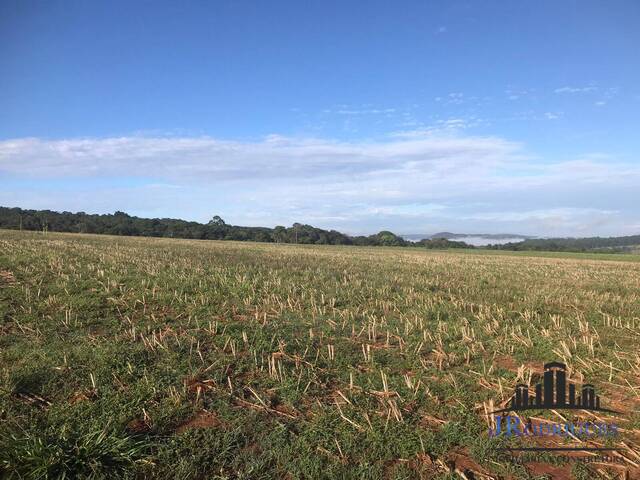 Chácara para Venda em Goiânia - 2