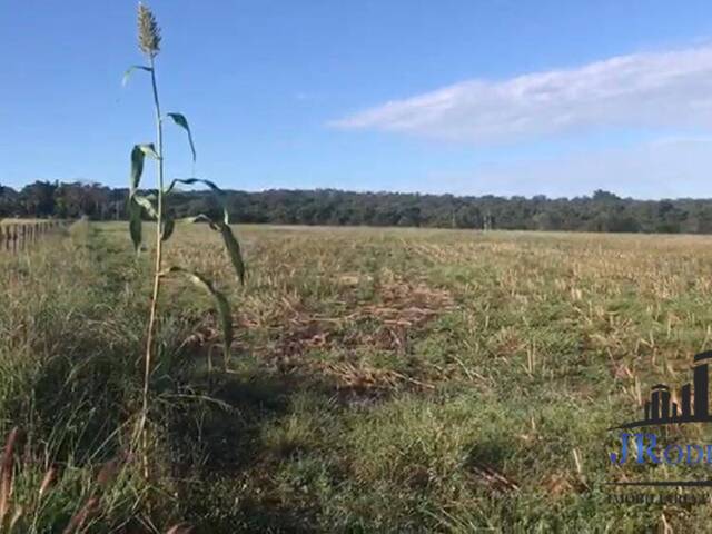 Venda em Zona Rural - Goiânia