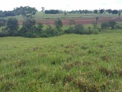 Fazenda para Venda em Itapirapuã - 5