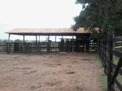 #352 - Fazenda para Venda em Itapirapuã - GO - 3