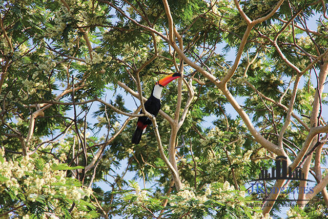 Casa de Condomínio, 2 quartos - Foto 48