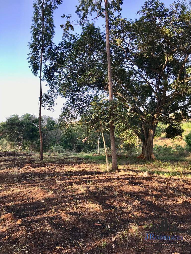 Chácara à venda com 3 quartos, 4307m² - Foto 7