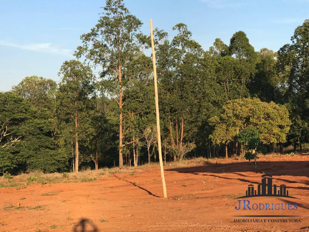 Chácara à venda com 3 quartos, 4307m² - Foto 8