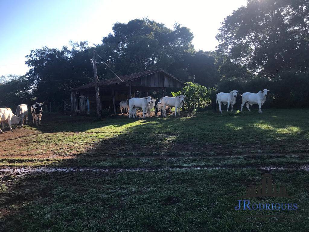 Terreno, 3 m² - Foto 18